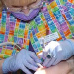 Free dental exams - CLC News