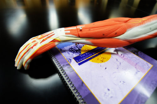 medical book and hand