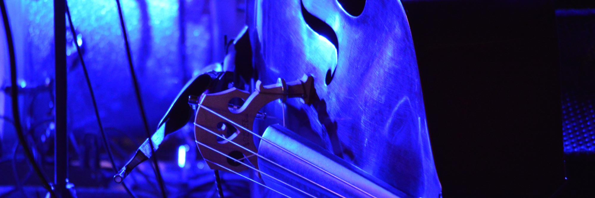 standup bass