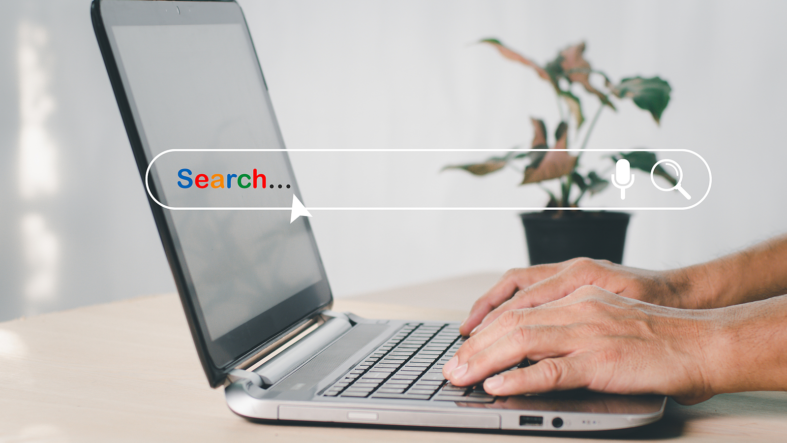 job search