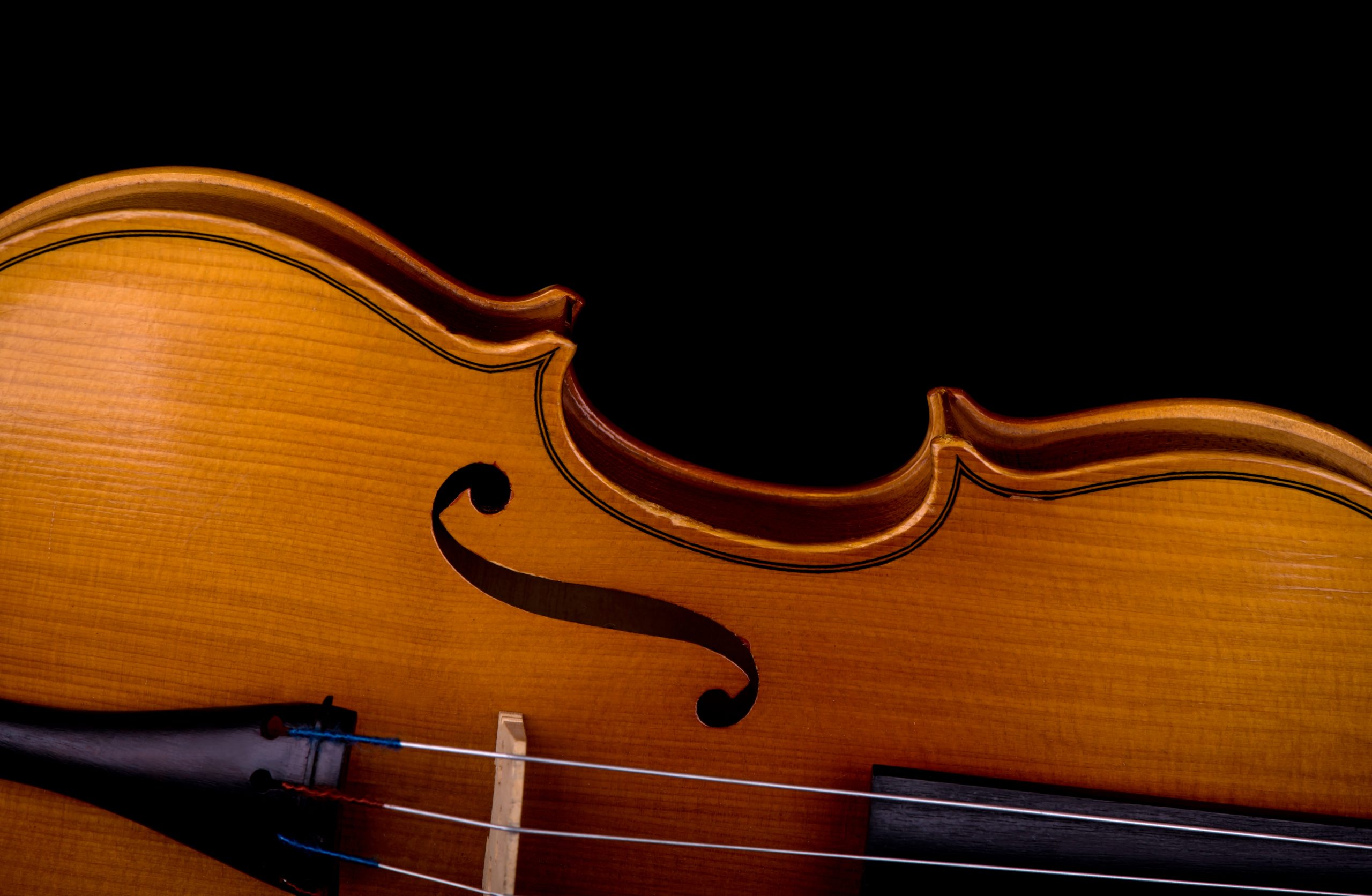 The Central Lakes College String Orchestra presents Spring Strings ...