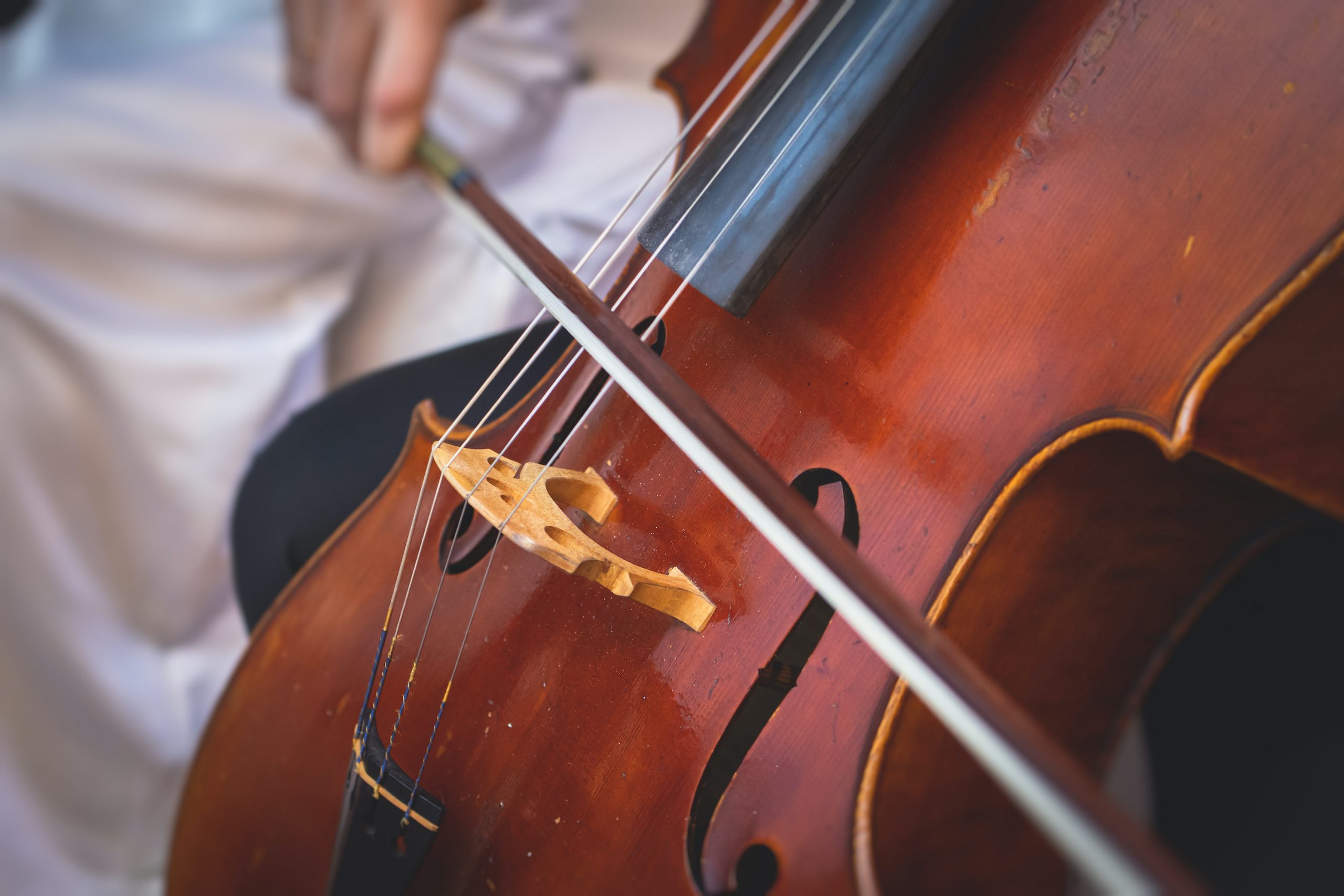 Chamber Orchestra Concert