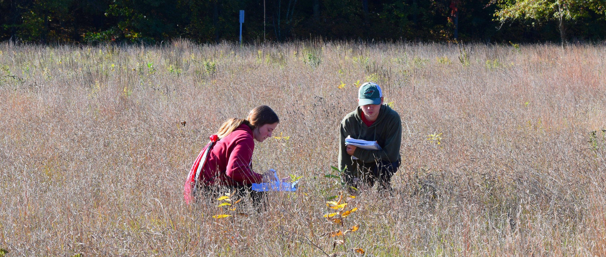 students in field